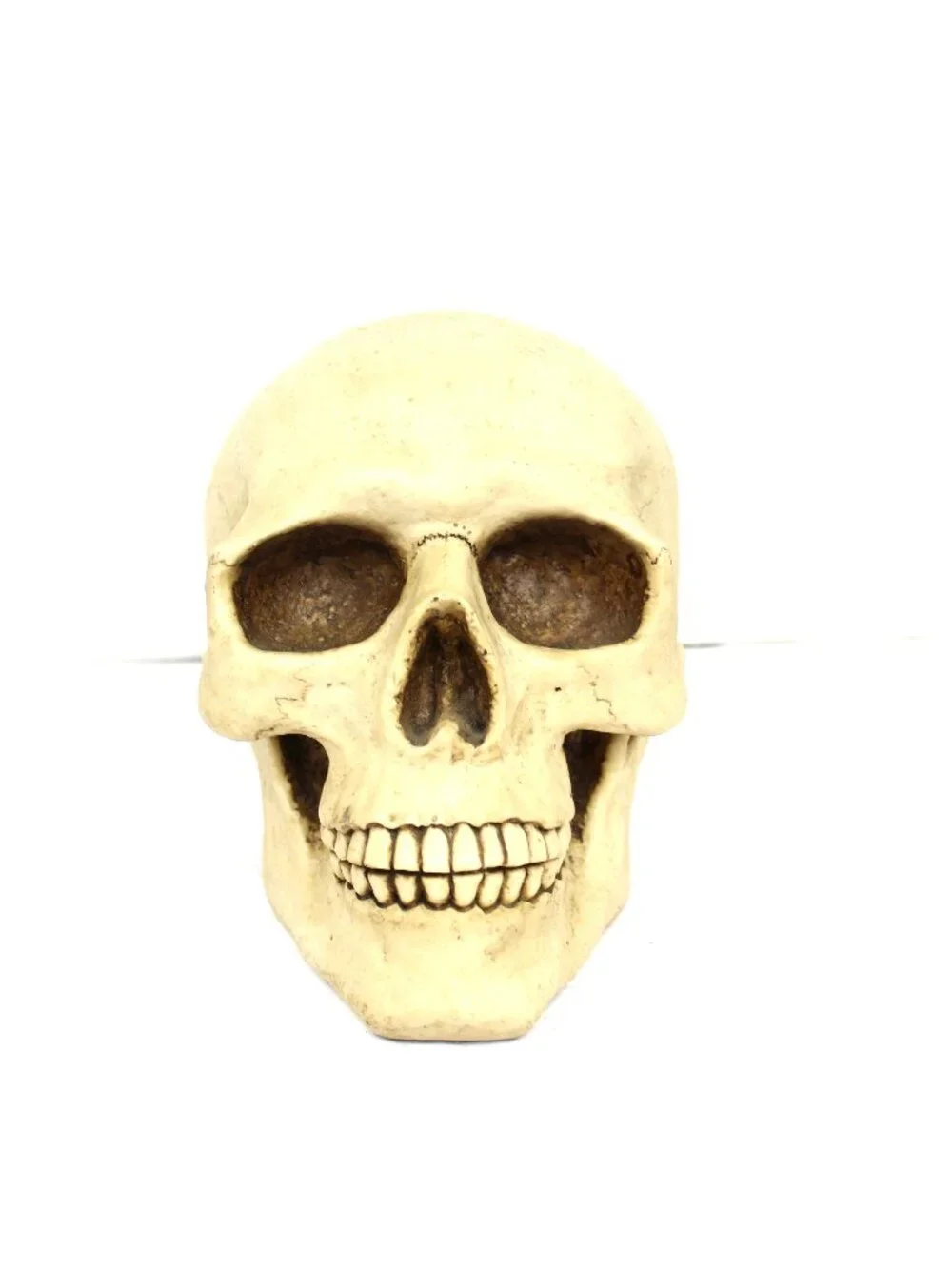 1997 WUI SUMMIT REALISTIC HUMAN SKULL HEAD VINTAGE RESIN 8X5.75X7